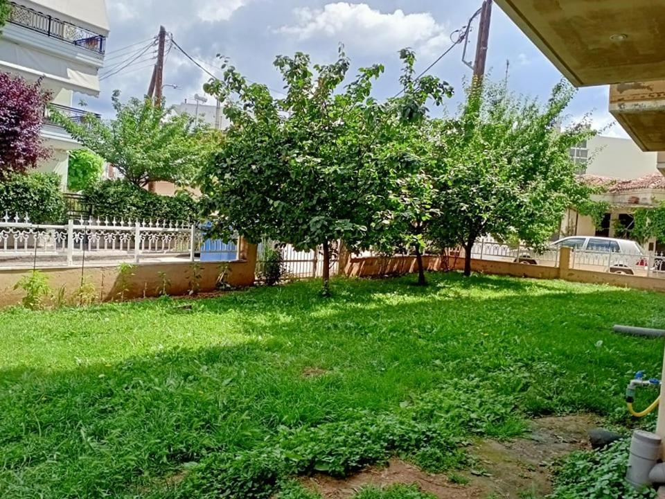 Lux Studio Apartment Alexandrúpoli Kültér fotó